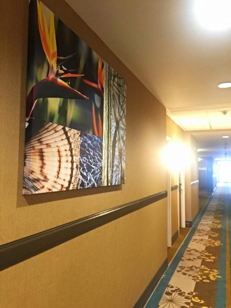 Best Western Plus Miami Executive Airport Hotel And Suites Country Walk Exterior photo